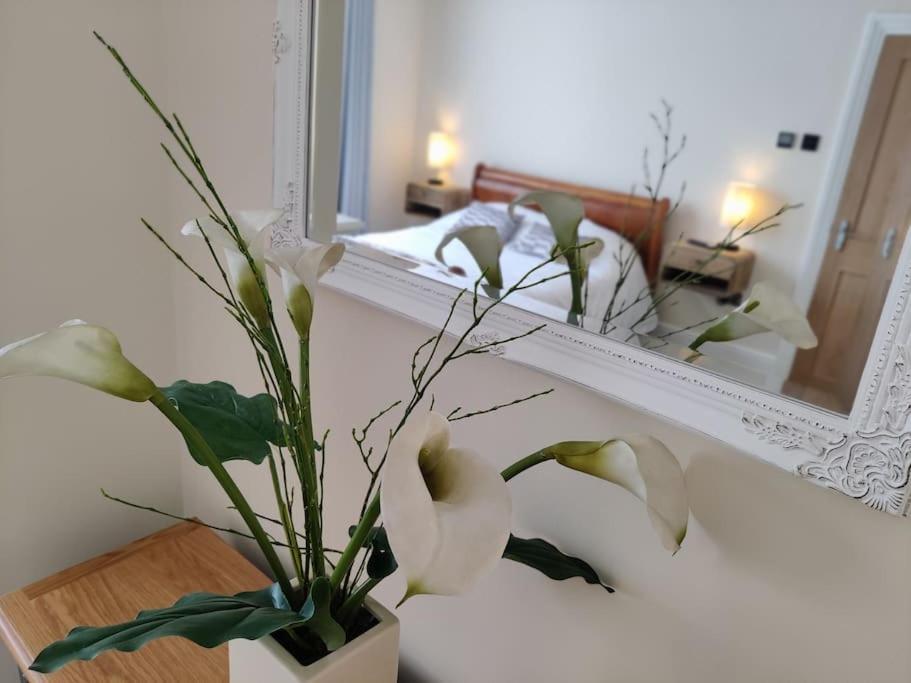 Escape To The Coast In A Luxurious Private Apartment ハーン・ベイ エクステリア 写真